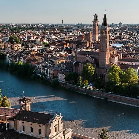 Sunflower Flat Verona